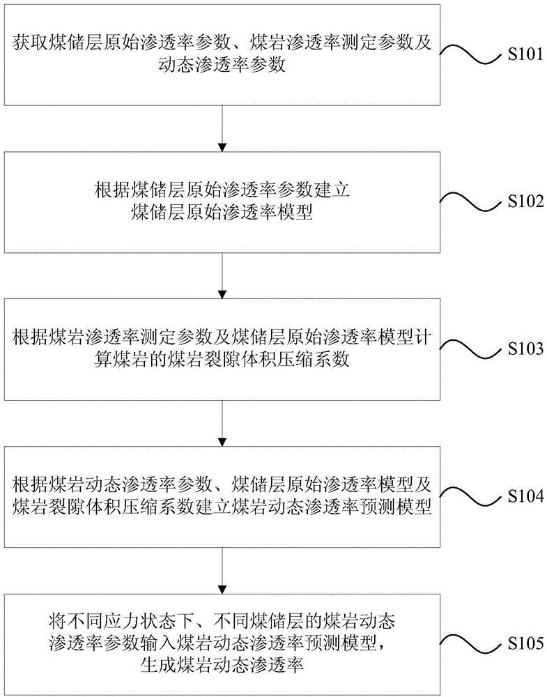 Method and device for detecting dynamic permeability of coal petrography