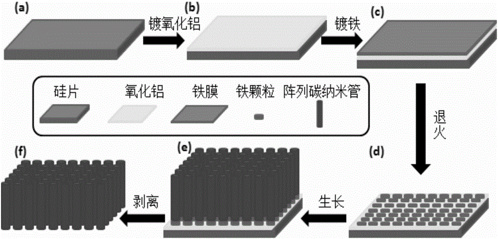 Ultra-high-purity carbon nanotube conductive paste and preparation method thereof