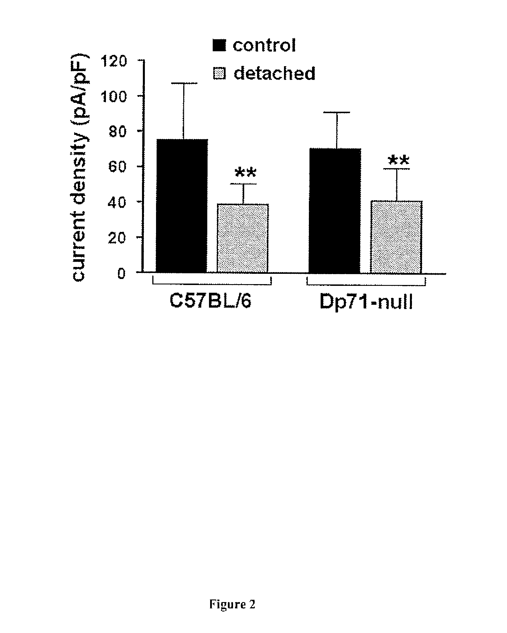 Non Human Animal Models for Increased Retinal Vascular Permeability