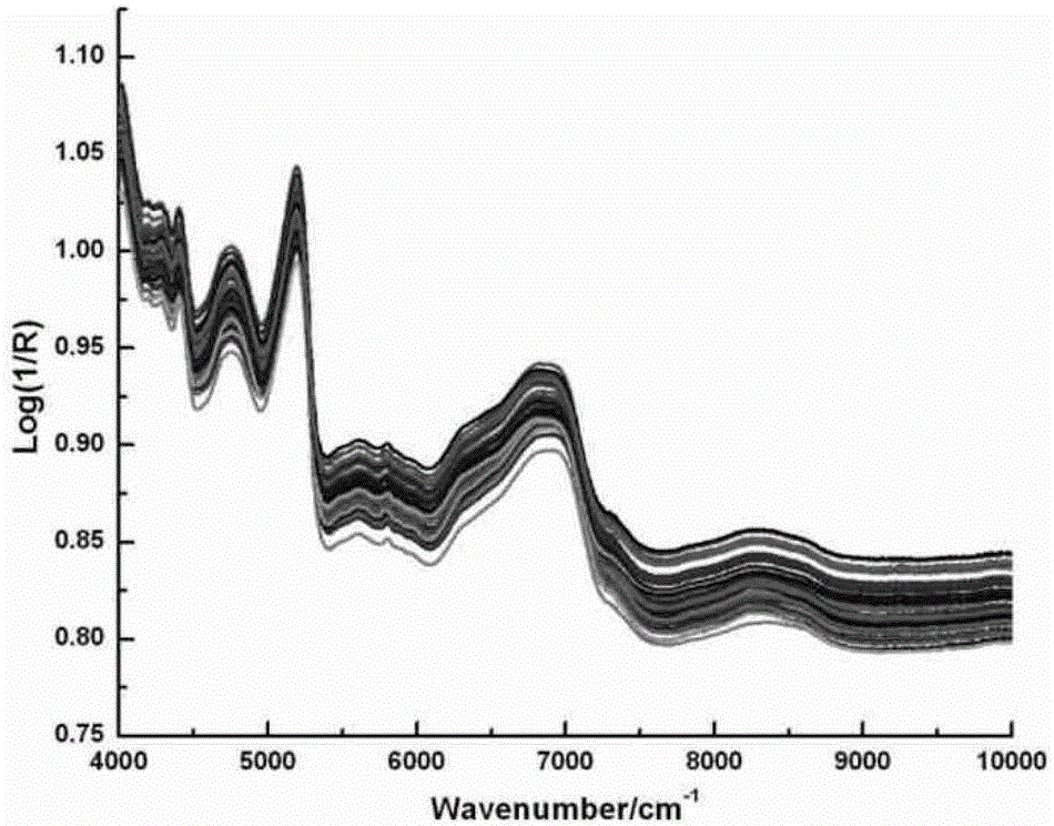 Method for quickly analyzing proportions of tree species of mixed pulp wood by aid of near infrared spectrum technologies