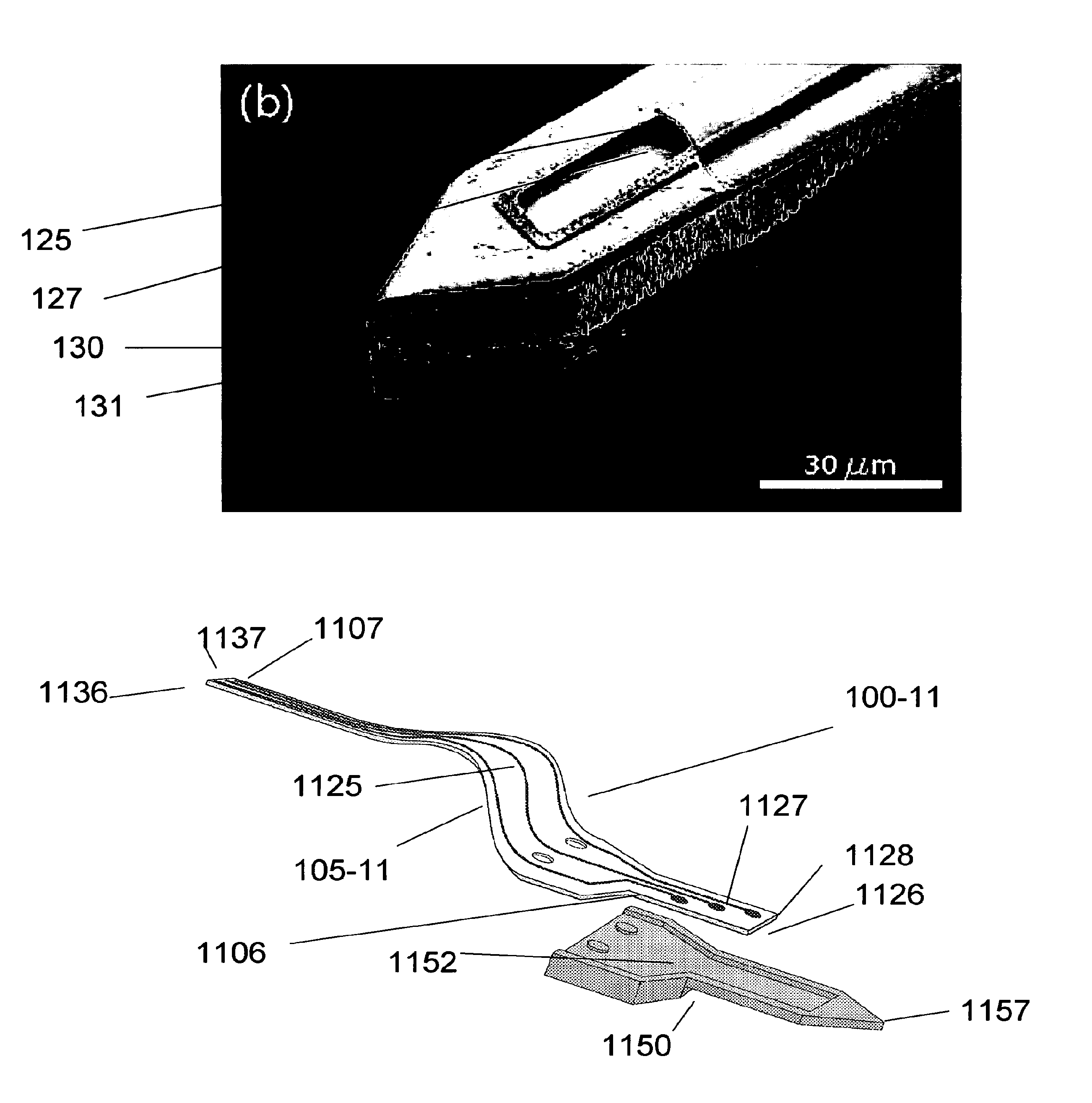 Convection enhanced delivery apparatus, method, and application