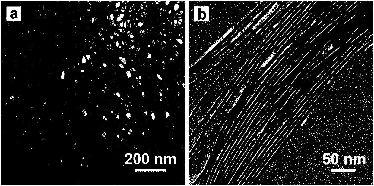 Preparation method of ultrafine single crystal platinum nanotube with ultrathin tube wall of 1nm and openings in two ends