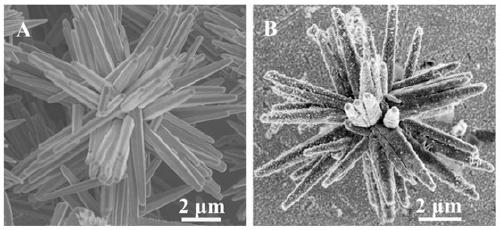 Preparation method for zinc oxide nanoflower/nanogold composite based temperature sensitive imprinted polymer