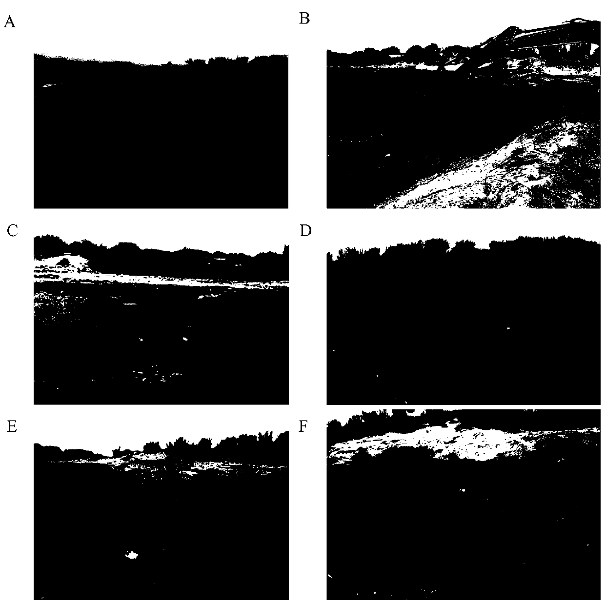 Composition or compound bacterial agent for treating waste drilling mud