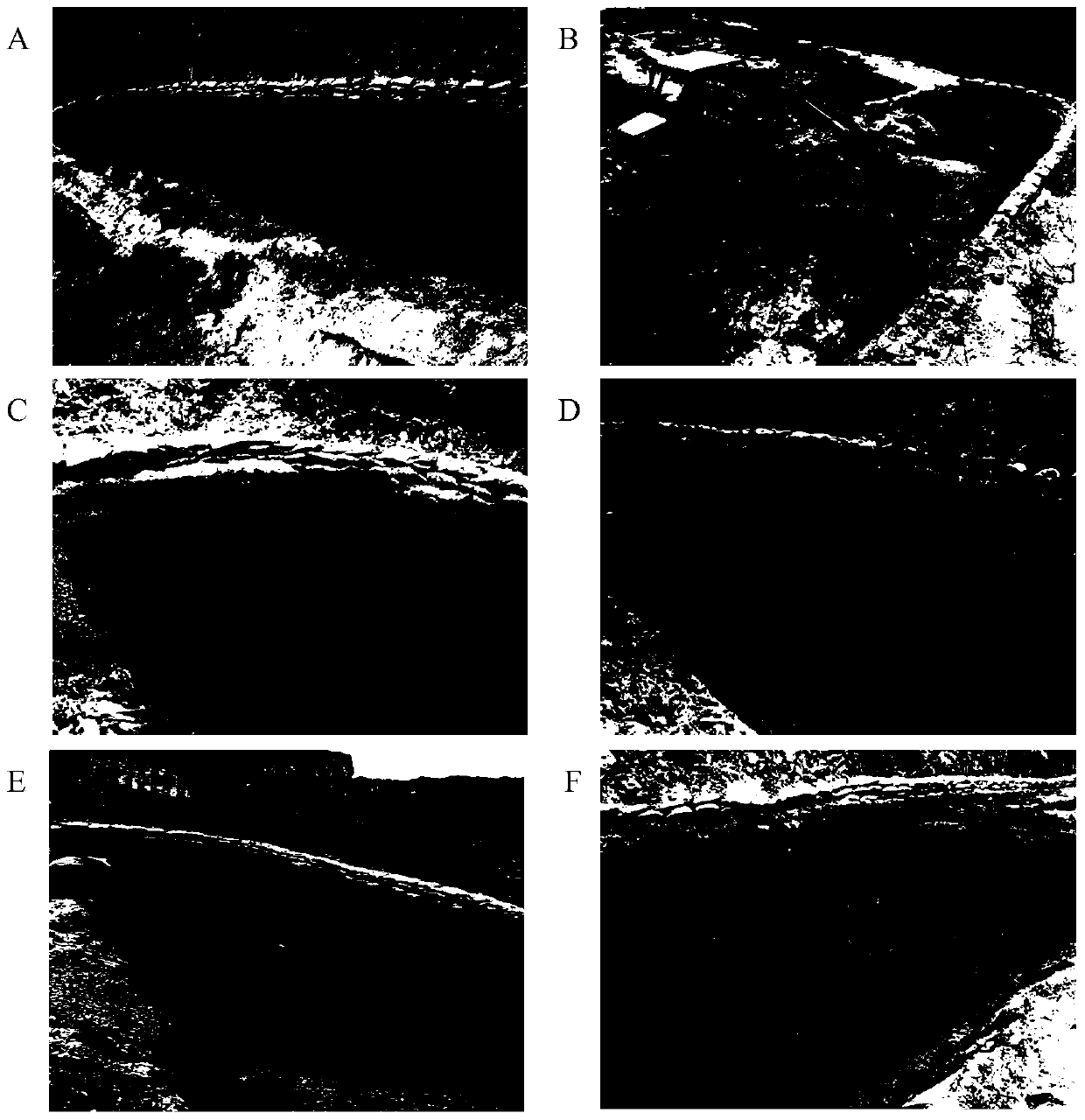 Composition or compound bacterial agent for treating waste drilling mud