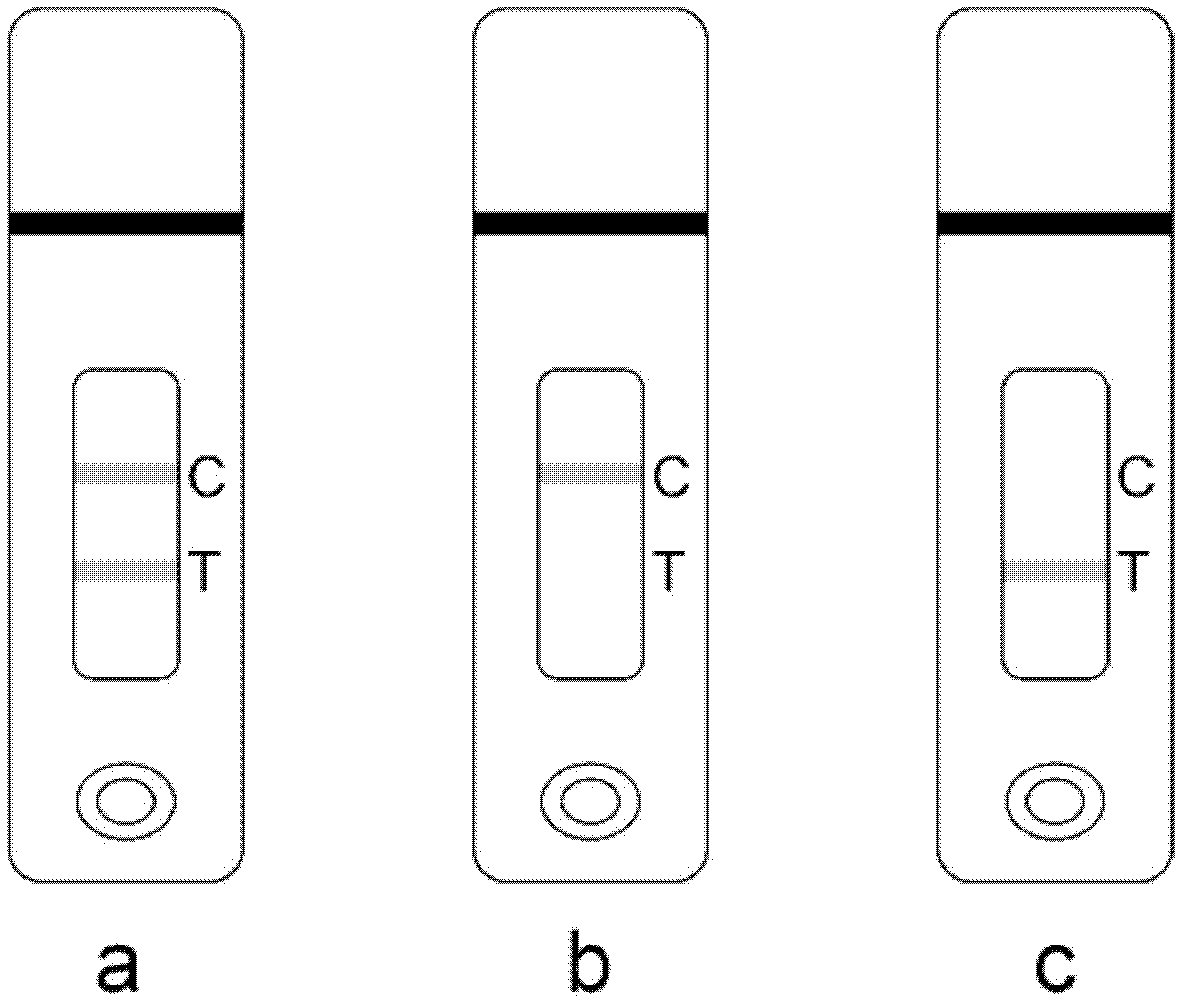 Test paper for detecting fluoroquinolone drugs and its application