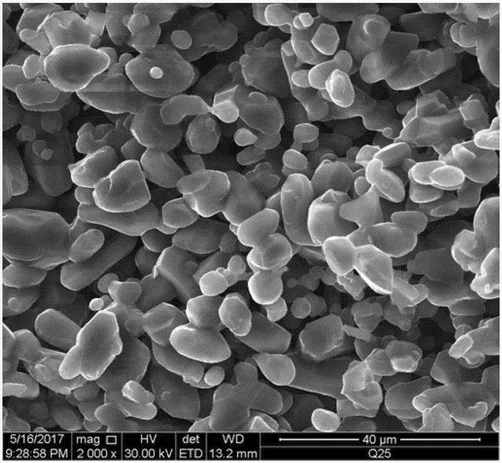 Method for preparing recrystallized silica carbide porous ceramic with gas-solid reaction method