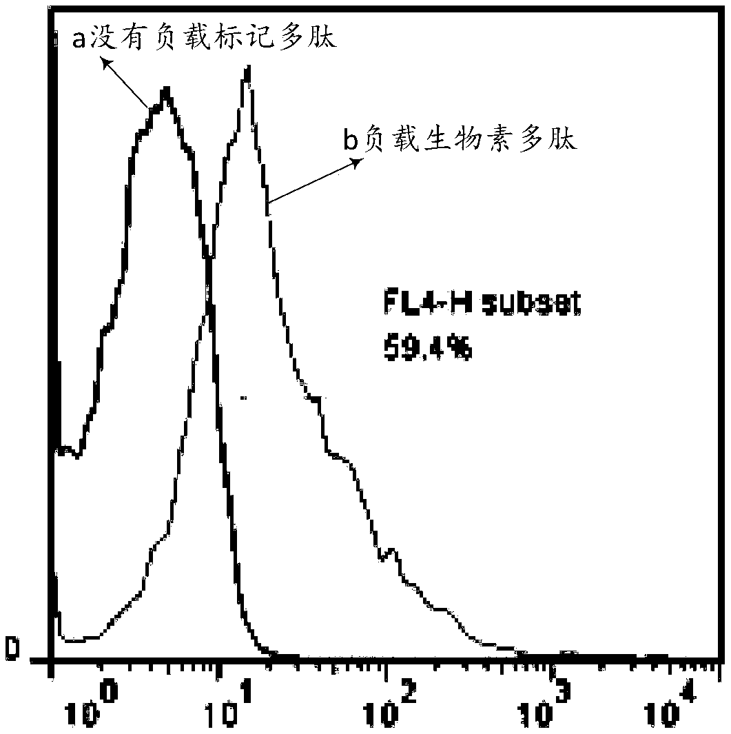 Construction method of RFF2 cells