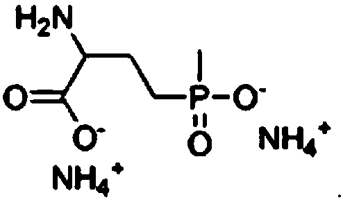 Weeding composition containing glufosinate-ammonium and fentrazamide and application thereof