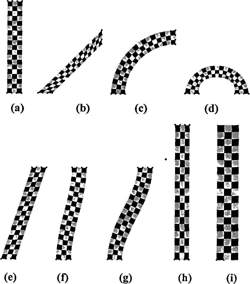 Linear constrained image distortion method based on local coordinates