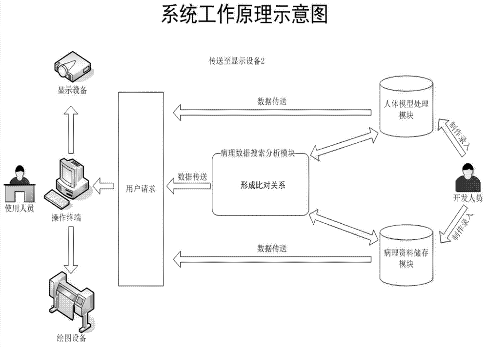 Human body structure digital analysis method and method and system for digital analysis of human body and pathology