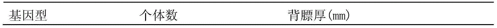 Method for identifying pig back fat thickness and special primer pair thereof