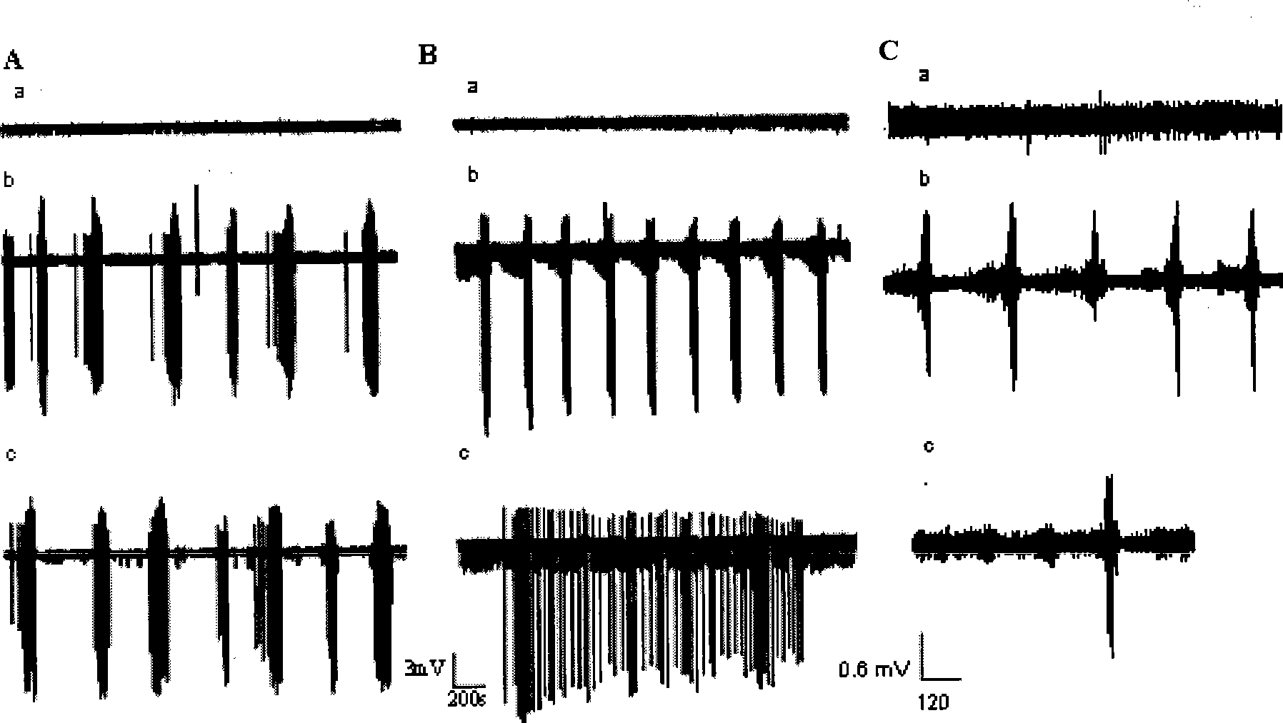 Cyclopenthiazide induced novel epilepsy model