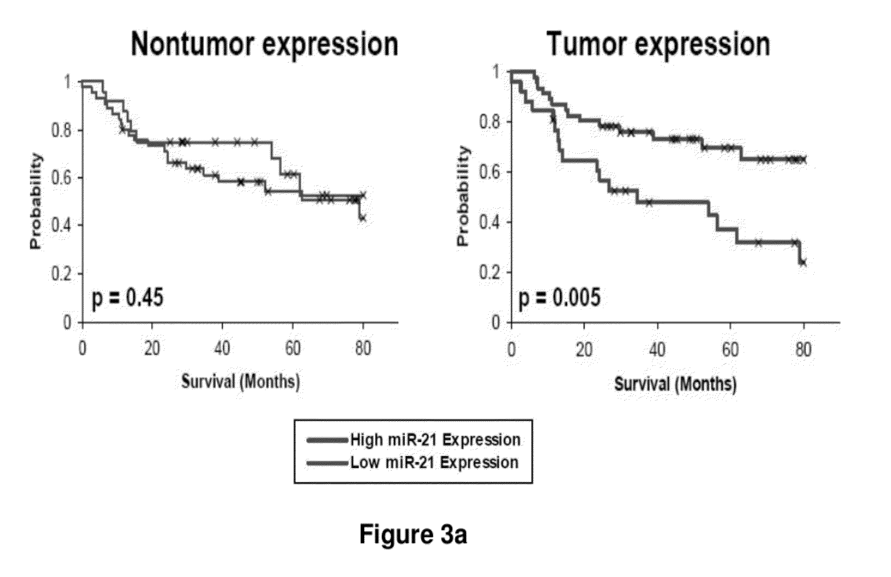 METHOD OF DIAGNOSING POOR SURVIVAL PROGNOSIS COLON CANCER USING miR-16b