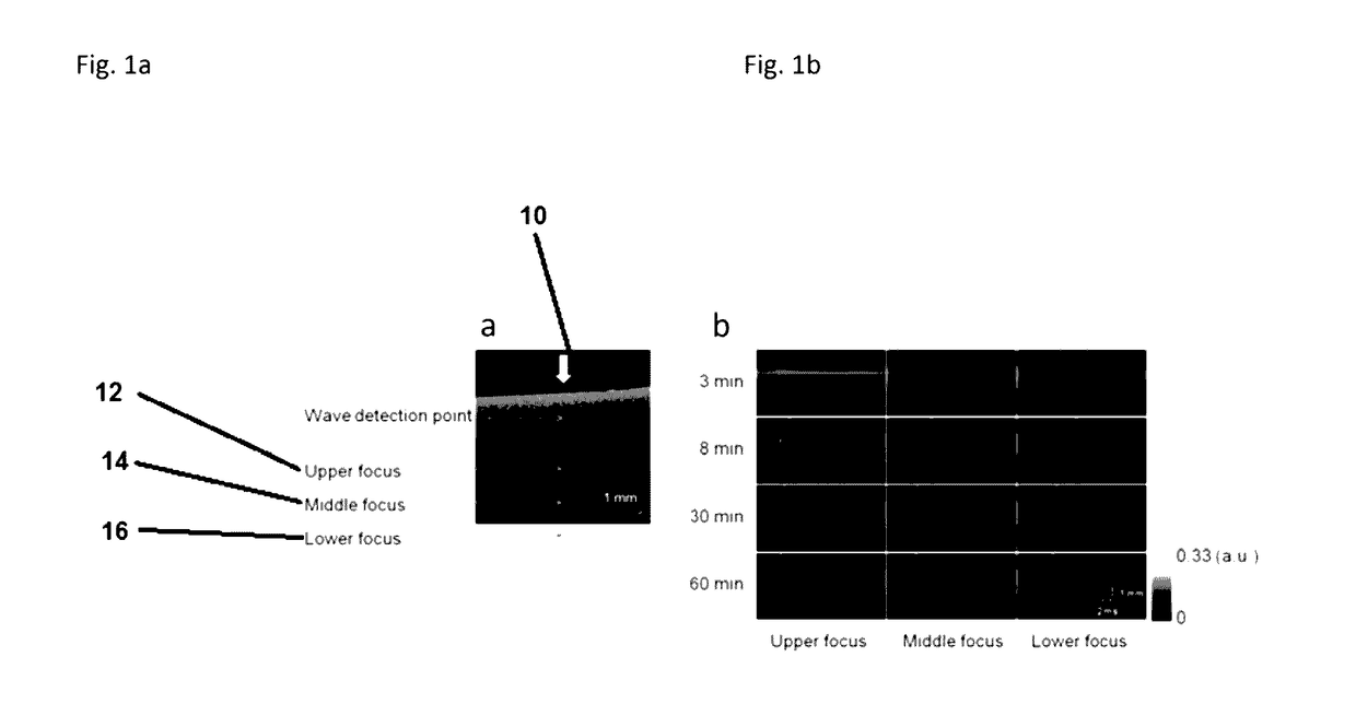 Assessment Of Blood Coagulation Using An Acoustic Radiation Force Based Optical Coherence Elastography (ARF-OCE)