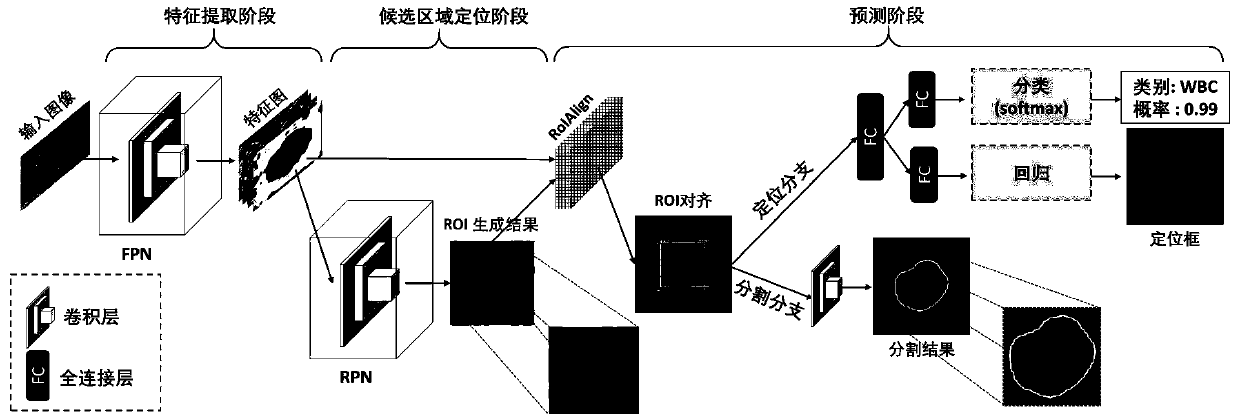 Leukocyte positioning and segmentation method based on deep neural network