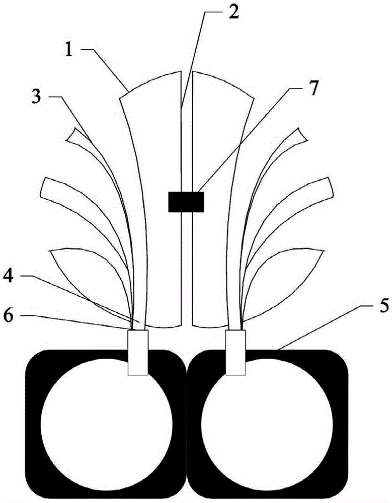 Pest catching device special for catching forest pests