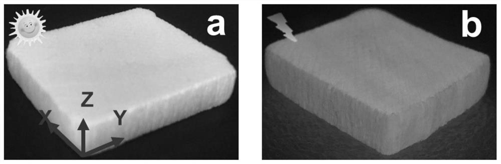 Fluorescent wood sponge, preparation method thereof and application of fluorescent wood sponge in hexavalent chromium ion detection and adsorption