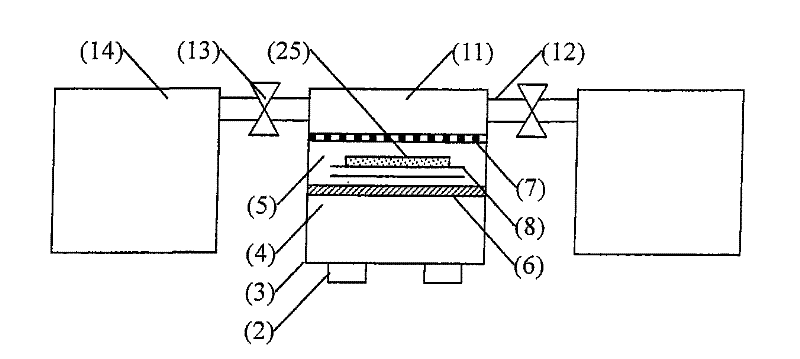 Microwave continuous freeze-drying system