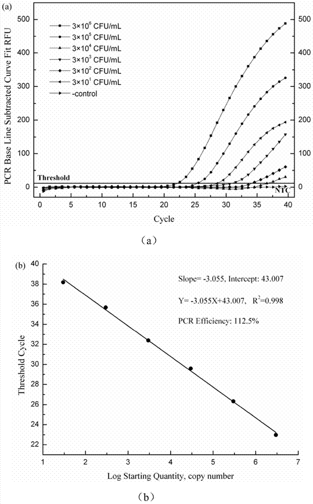 Primer and probe for alicyclobacillus acidoterrestris PCR detection and applications thereof