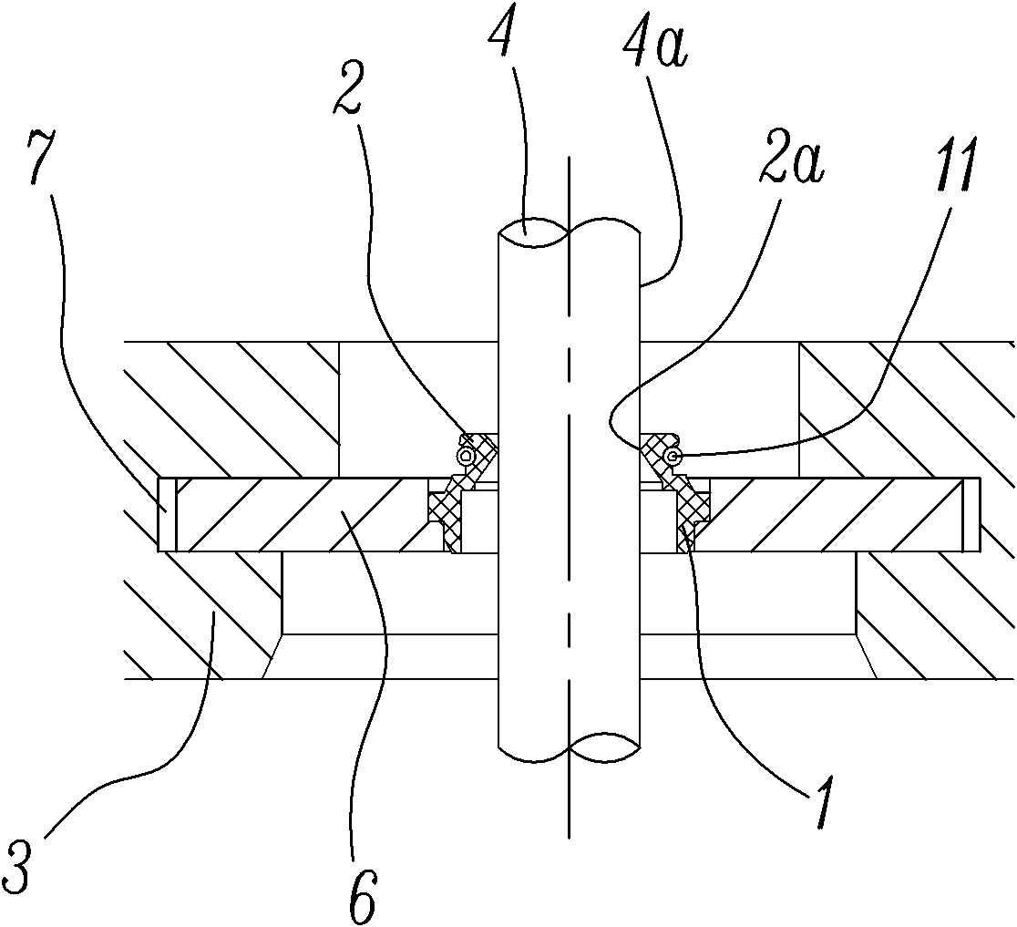 Shaft seal structure