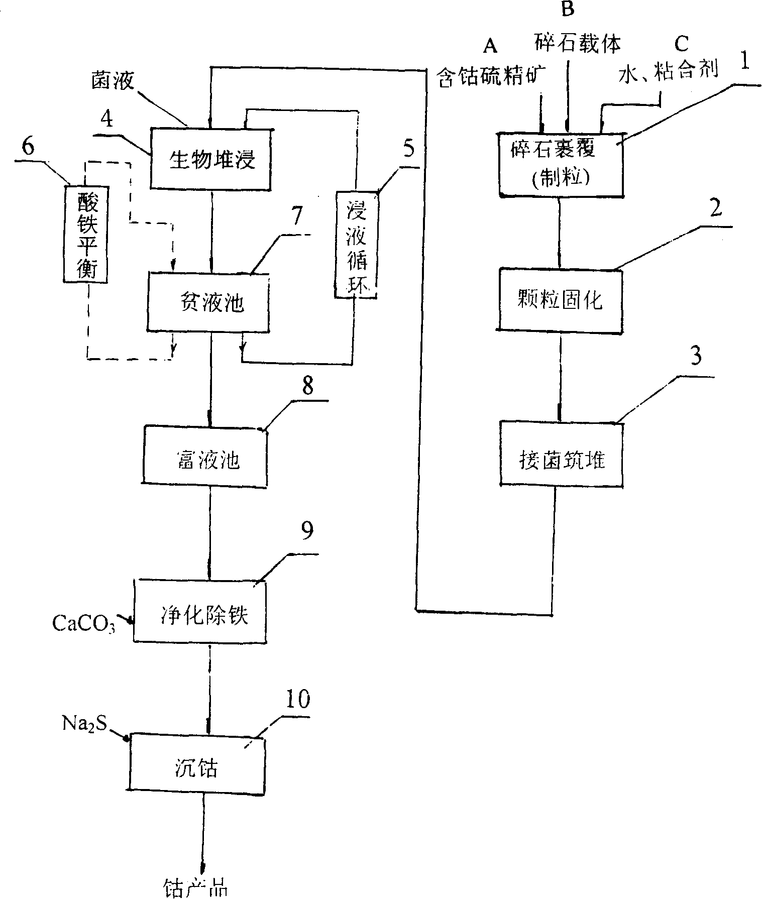 Mesophilic acidophilic bacteria and biological heap leaching technique for low-grade cobalt-containing sulfur concentrate