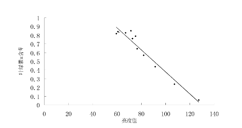 Method for detecting contents of chlorophyll a and carotinoid in crop laminas