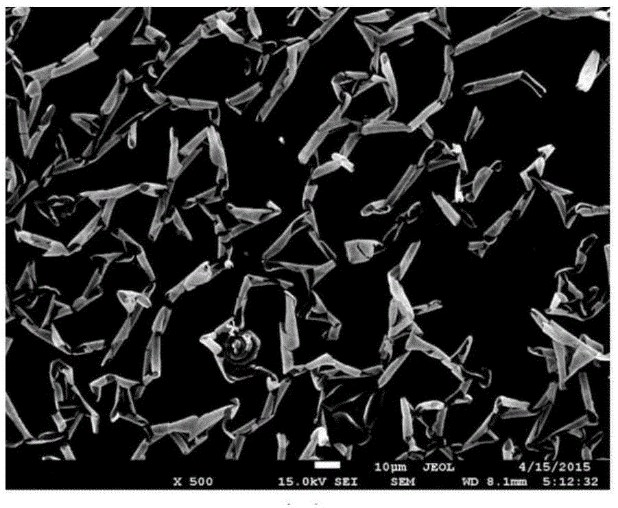 Preparation method of organic/inorganic hybrid double-layer nanofilm self-coiling pipe