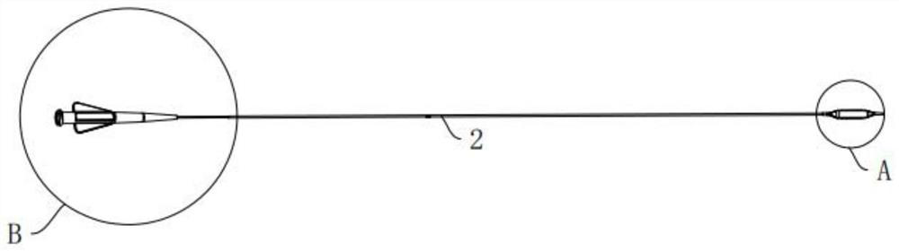 Spinous process balloon dilatation catheter