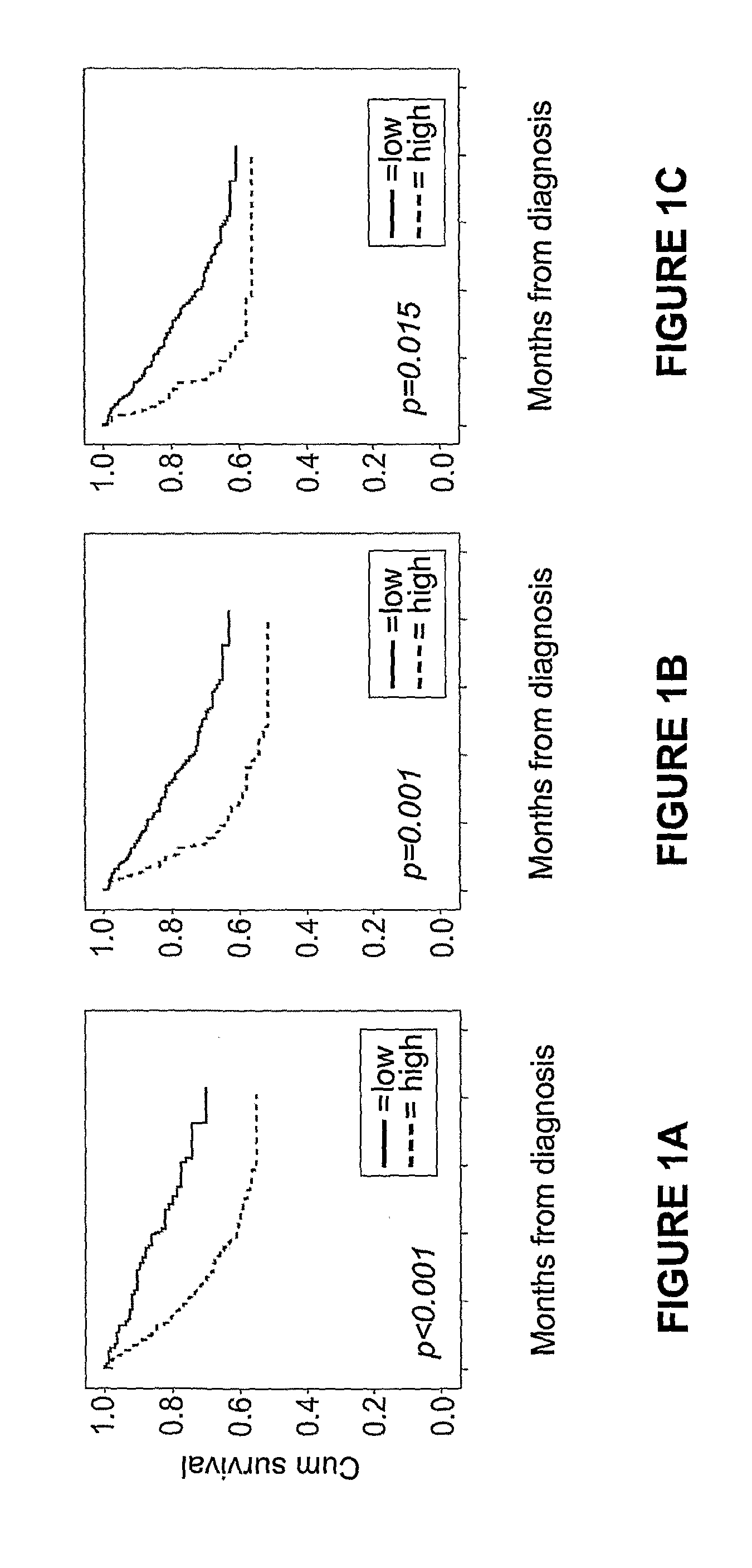 Anln protein as an endocrine treatment predictive factor