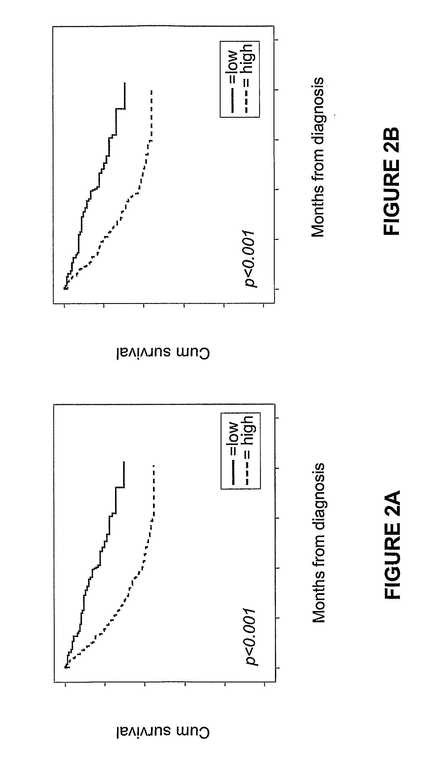 Anln protein as an endocrine treatment predictive factor