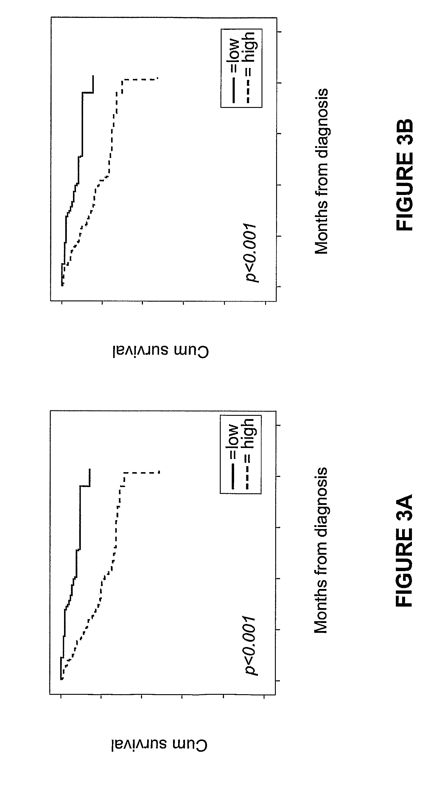 Anln protein as an endocrine treatment predictive factor