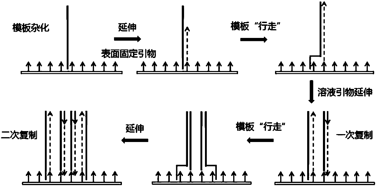 DNA synthesis sequencing method and system