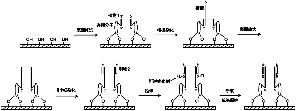 DNA synthesis sequencing method and system