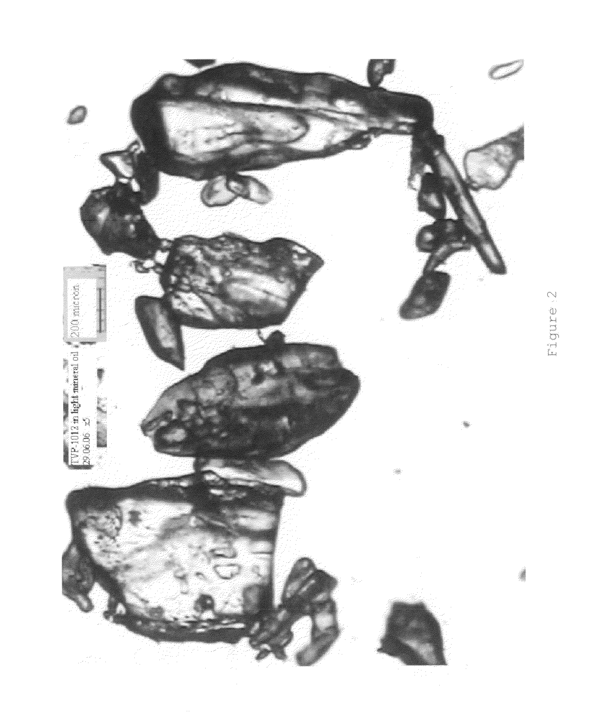 Crystalline solid rasagiline base