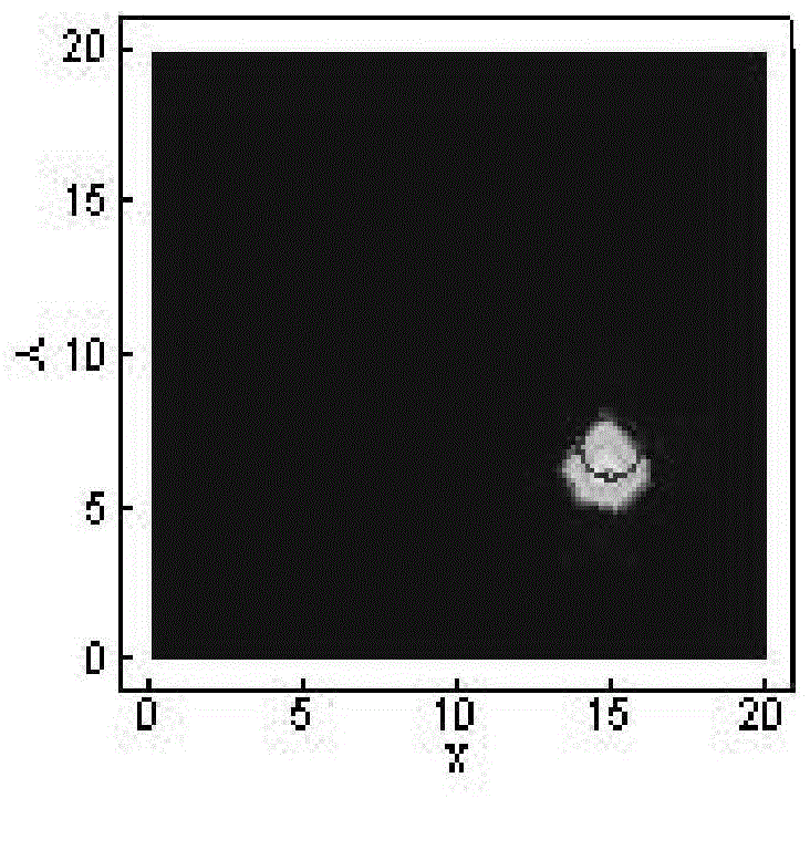 Fluorescence molecular tomography reconstruction method