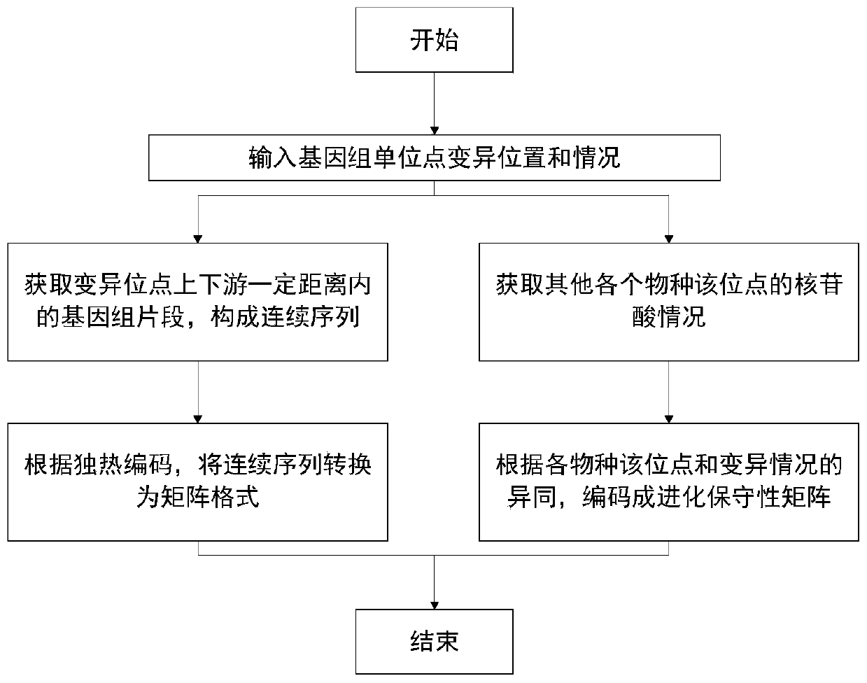 Genome unit point variation pathogenicity prediction method and system and storage medium