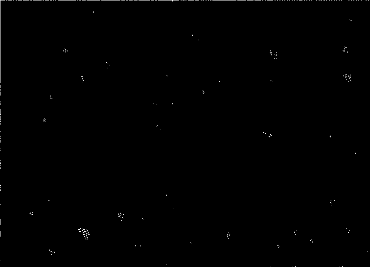 Preparation and use of phenylethylene block copolymer micro-nano microsphere