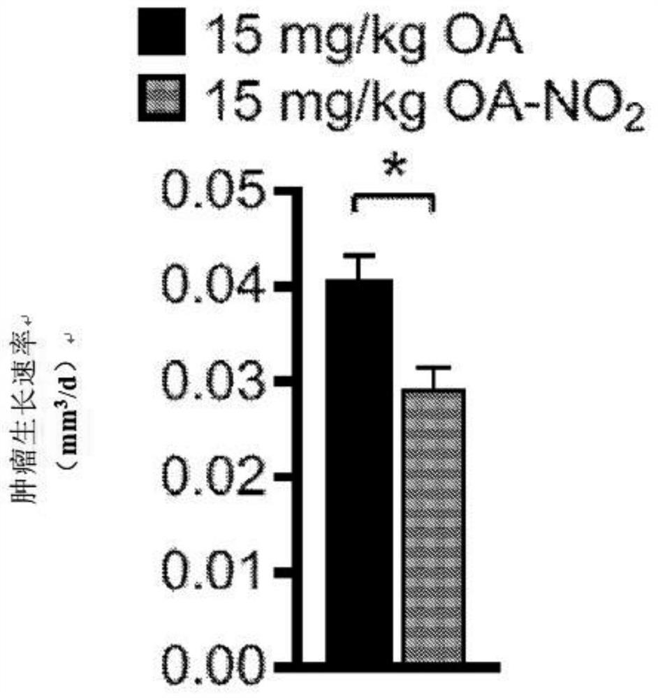 Electrophiles and electrophile pro-drugs as rad51 inhibitors