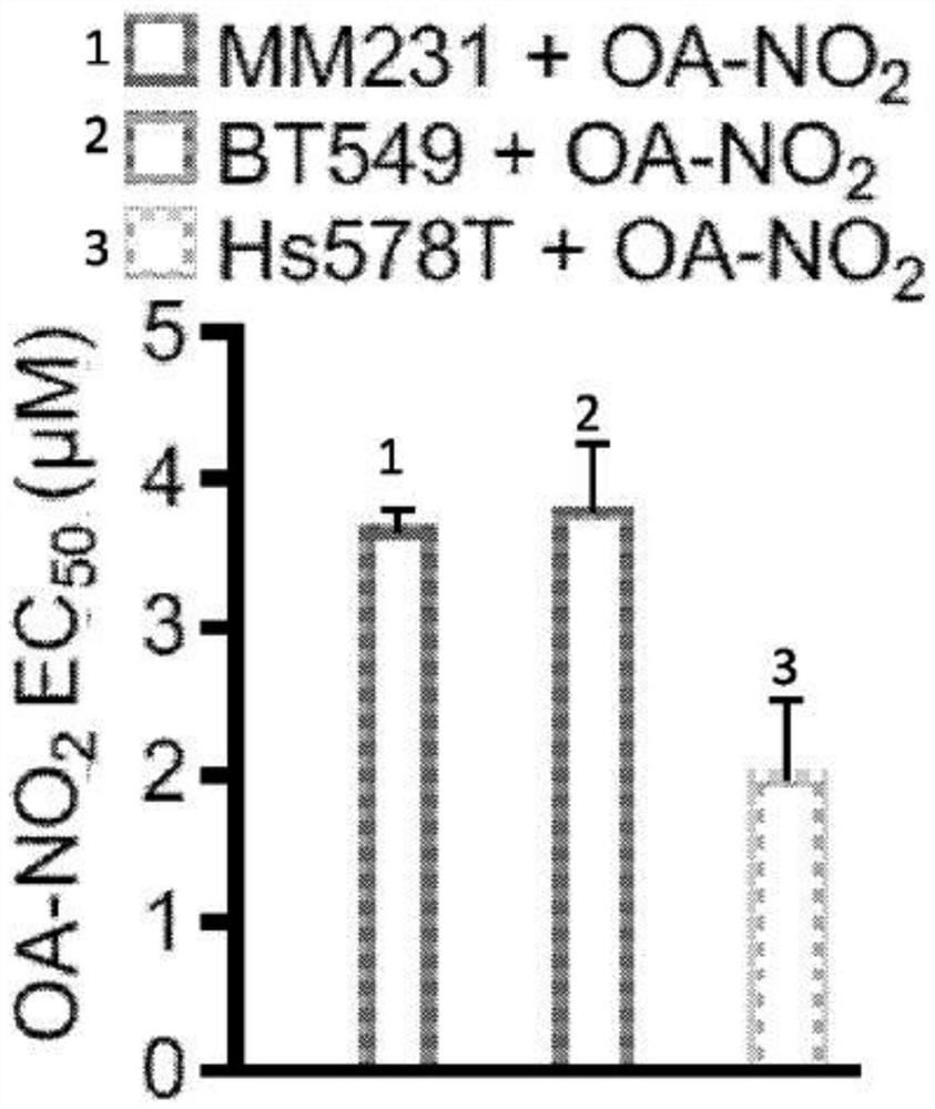 Electrophiles and electrophile pro-drugs as rad51 inhibitors