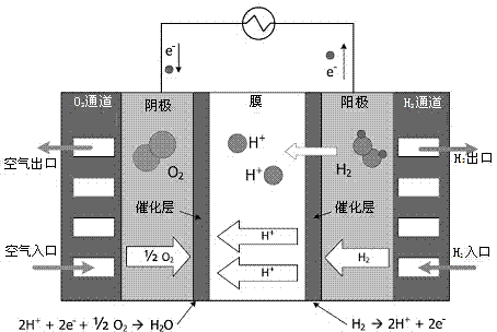 Fuel cell optimization modeling method for fusion krill behavior artificial bee colony algorithm