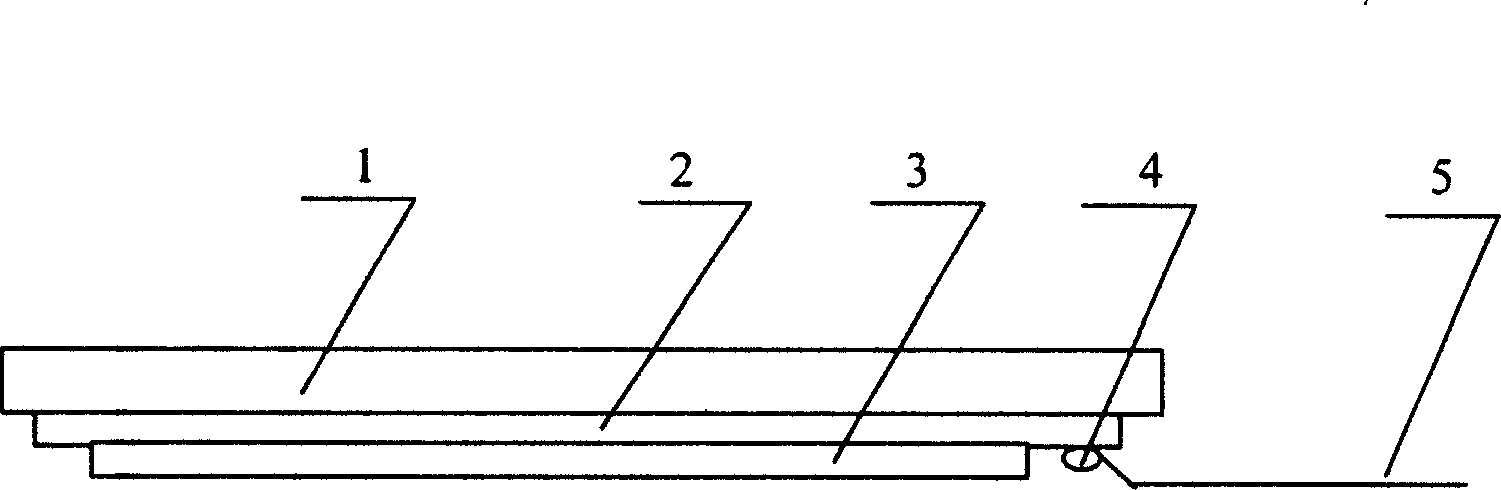 Field emission display made by single grid structure and silver pasting method