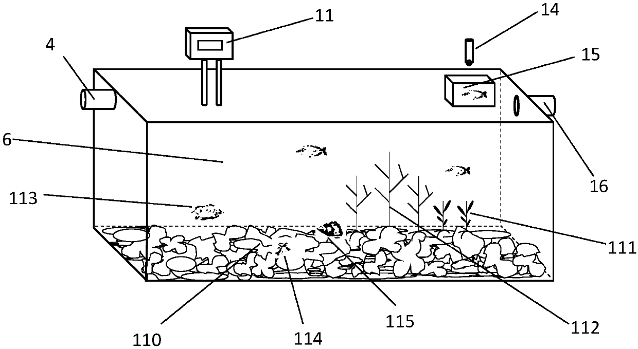 Device, system and method for long-term monitoring of comprehensive ecotoxicity of standard sewage and wastewater