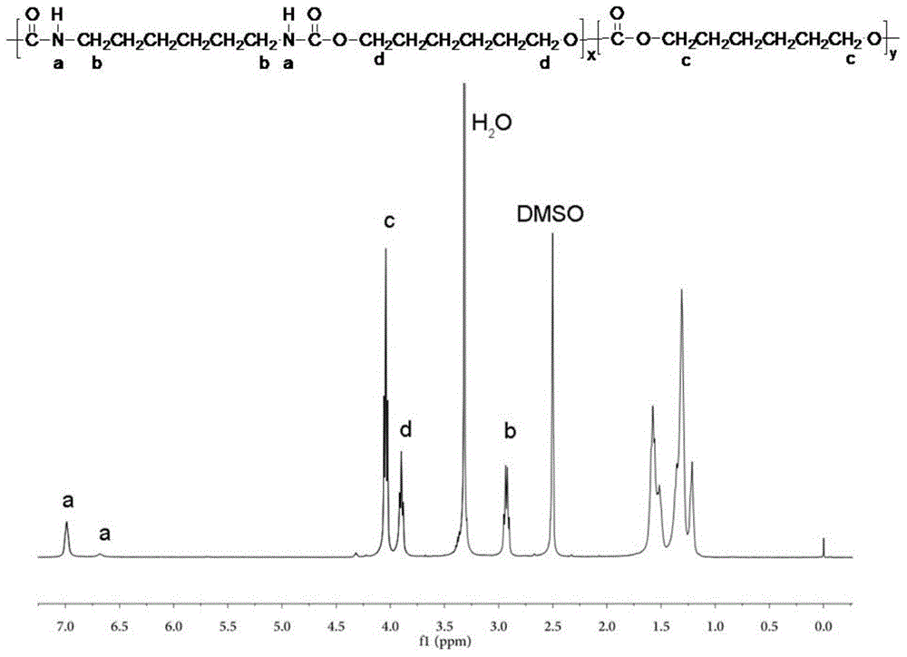 Polycarbonate polyurethane and green preparation method thereof