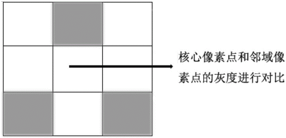 Rapid extraction method for dense point cloud oriented toward city three-dimensional modeling