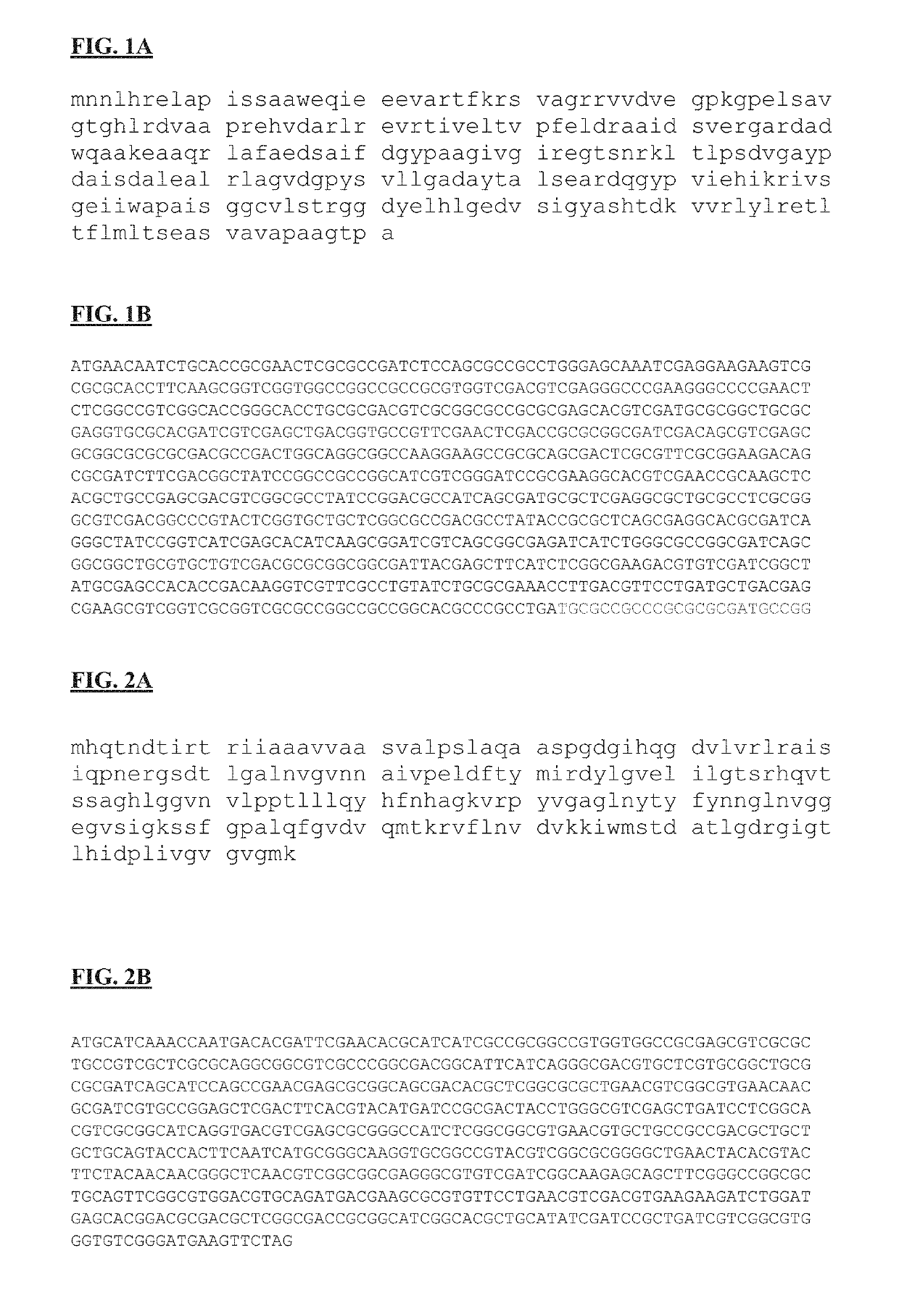 Vaccine for treatment or prevention of <i>Burkholderia </i>infection in a mammal