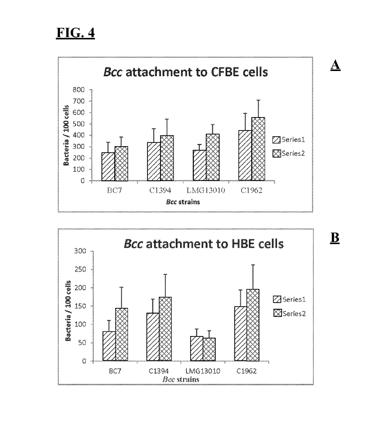 Vaccine for treatment or prevention of <i>Burkholderia </i>infection in a mammal