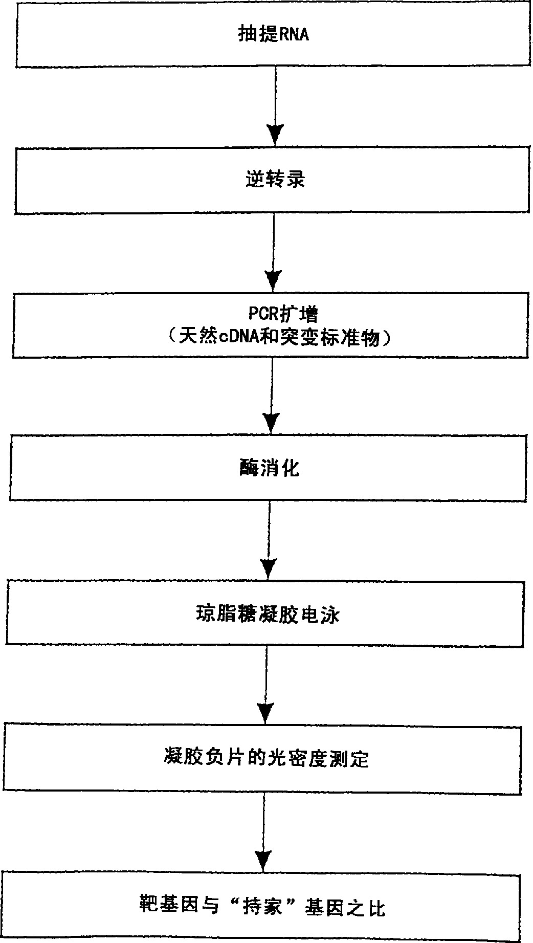 Method for quantitative measurement of gene expression using multiplex competitive reverse transcriptase-polymerase chain reaction