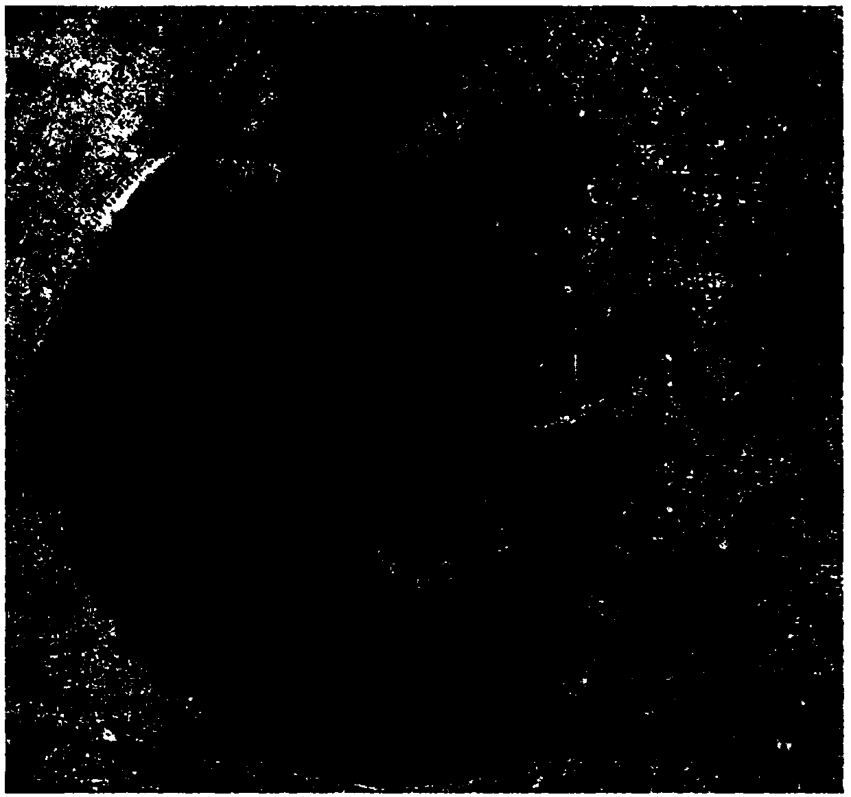 A remote sensing image-based inland water body blue-green algae classification and recognition method