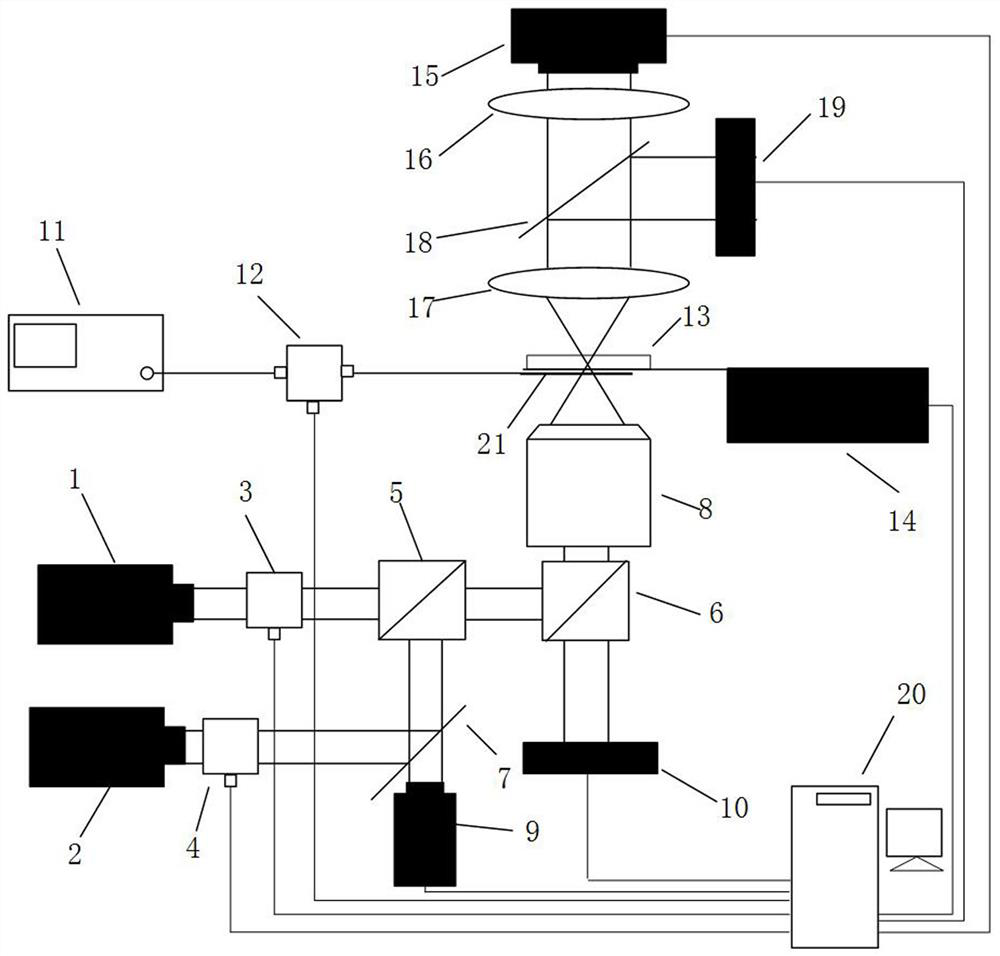 Method and device for measuring temperature of biological tissue or cell